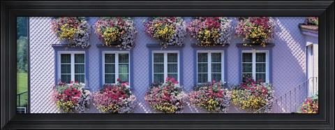 Framed Purple House with Flowers, Appenzell Switzerland Print