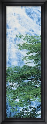Framed Oku-Nikko Tochigi Japan Print