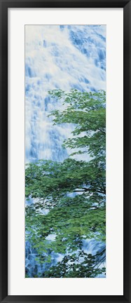 Framed Oku-Nikko Tochigi Japan Print
