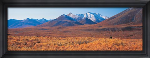 Framed Yukon Territory Canada Print
