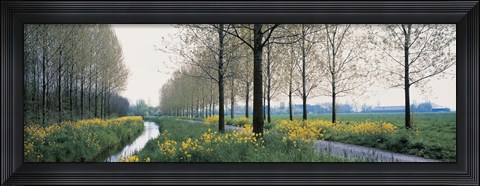 Framed Dordrecht Holland Netherlands Print
