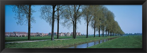 Framed Aalsmeer Holland Netherlands Print