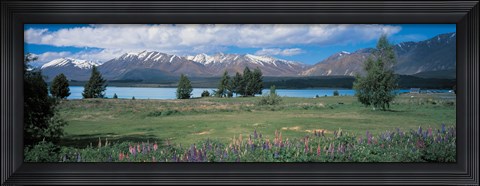 Framed Tekapo Lake South Island New Zealand Print