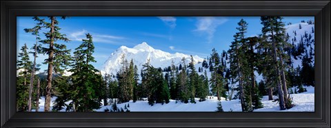 Framed Trees on a snow covered mountain, Mt Shuksan, Mt Baker-Snoqualmie National Forest, Washington State, USA Print