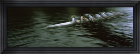 Framed Crew racing, Seattle, Washington State, USA Print