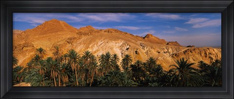 Framed Palm trees in front of mountains, Chebika, Tunisia Print