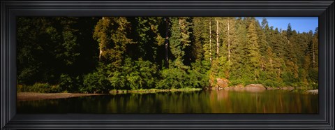 Framed Reflection of trees in a river, Smith River, Jedediah Smith Redwoods State Park, California, USA Print