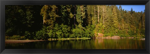 Framed Reflection of trees in a river, Smith River, Jedediah Smith Redwoods State Park, California, USA Print