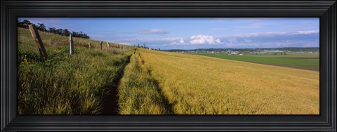 Framed Wooden fence along a farm, Ebey's Prairie, Whidbey Island, Island County, Washington State, USA Print