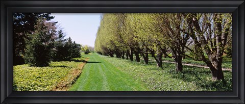Framed Botanical garden, Niagara Falls, Ontario, Canada Print