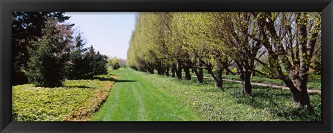 Framed Botanical garden, Niagara Falls, Ontario, Canada Print