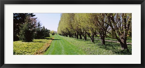 Framed Botanical garden, Niagara Falls, Ontario, Canada Print