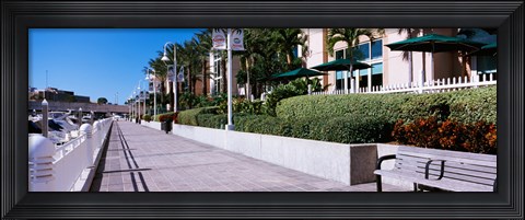 Framed Buildings along a walkway, Garrison Channel, Tampa, Florida, USA Print
