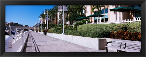 Framed Buildings along a walkway, Garrison Channel, Tampa, Florida, USA Print