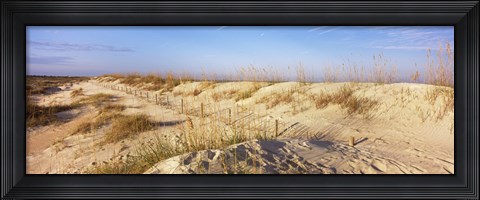 Framed Sand dunes on the beach, Anastasia State Recreation Area, St. Augustine, St. Johns County, Florida, USA Print