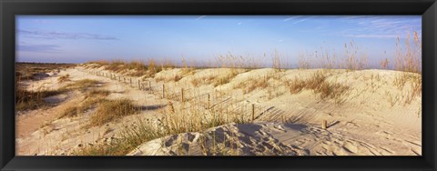 Framed Sand dunes on the beach, Anastasia State Recreation Area, St. Augustine, St. Johns County, Florida, USA Print