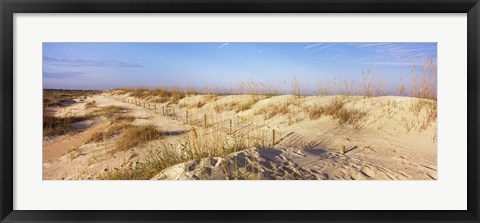 Framed Sand dunes on the beach, Anastasia State Recreation Area, St. Augustine, St. Johns County, Florida, USA Print