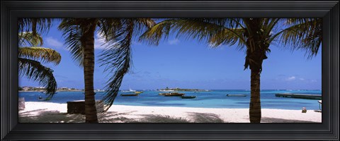 Framed Palm trees on the beach, Anguilla Print