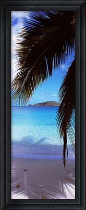 Framed Maho Bay, Virgin Islands National Park, St. John, US Virgin Islands Print