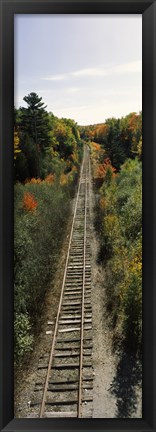 Framed Railroad tracks along Route 1A between Ellsworth and Bangor, Maine, USA Print