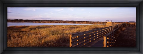 Framed Boardwalk in a state park, Myakka River State Park, Sarasota, Sarasota County, Florida, USA Print