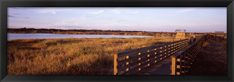 Framed Boardwalk in a state park, Myakka River State Park, Sarasota, Sarasota County, Florida, USA Print