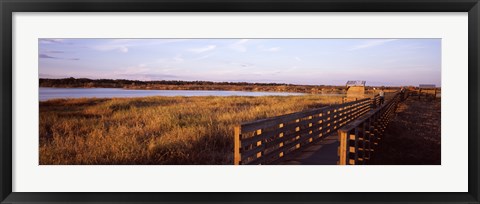 Framed Boardwalk in a state park, Myakka River State Park, Sarasota, Sarasota County, Florida, USA Print