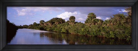 Framed Trees along a channel, Venice, Sarasota County, Florida Print