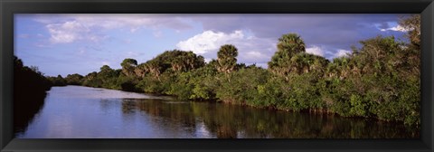 Framed Trees along a channel, Venice, Sarasota County, Florida Print