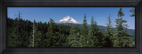 Framed Trees in a forest with mountain in the background, Mt Hood National Forest, Hood River County, Oregon, USA Print