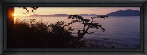 Framed Silhouette of trees at seaside, Rosario Strait, San Juan Islands, Washington State, USA Print