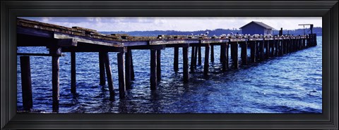 Framed Seagulls on a pier, Whidbey Island, Island County, Washington State, USA Print