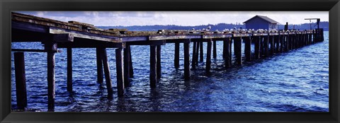 Framed Seagulls on a pier, Whidbey Island, Island County, Washington State, USA Print