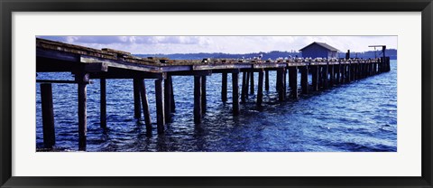 Framed Seagulls on a pier, Whidbey Island, Island County, Washington State, USA Print