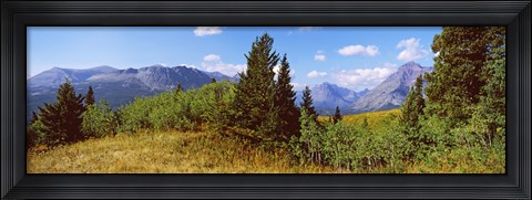 Framed Trees with mountains in the background, Looking Glass, US Glacier National Park, Montana, USA Print