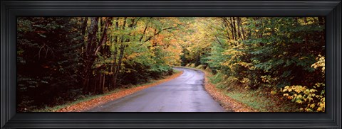 Framed Road passing through a forest, Green Bridge Road, Adirondack Mountains, Thendara, Herkimer County, New York State, USA Print