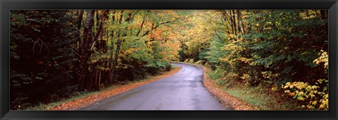 Framed Road passing through a forest, Green Bridge Road, Adirondack Mountains, Thendara, Herkimer County, New York State, USA Print