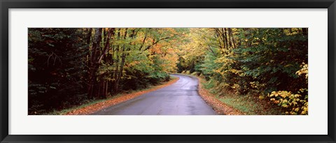 Framed Road passing through a forest, Green Bridge Road, Adirondack Mountains, Thendara, Herkimer County, New York State, USA Print