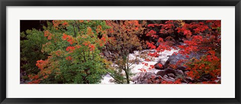 Framed River flowing through a forest, Ausable River, Adirondack Mountains, Wilmington, New York State (horizontal) Print