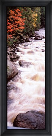 Framed River flowing through a forest, Ausable River, Adirondack Mountains, Wilmington, New York State (vertical) Print