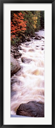 Framed River flowing through a forest, Ausable River, Adirondack Mountains, Wilmington, New York State (vertical) Print