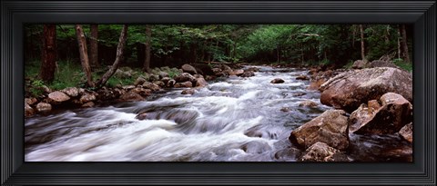 Framed River flowing through a forest, Moose River, Adirondack Mountains, New York State (horizontal) Print
