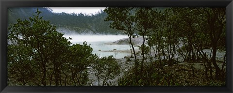 Framed Volcanic lake in a forest, Kawah Putih, West Java, Indonesia Print