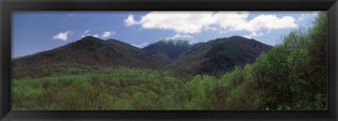 Framed Clouds over mountains, Great Smoky Mountains National Park, Tennessee, USA Print