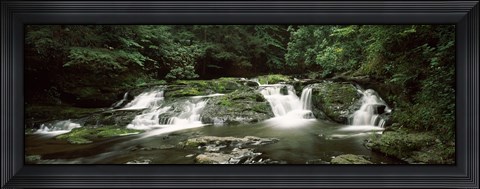 Framed Dingmans Creek flowing through a forest, Dingmans Falls Area, Delaware Water Gap National Recreation Area, Pennsylvania, USA Print