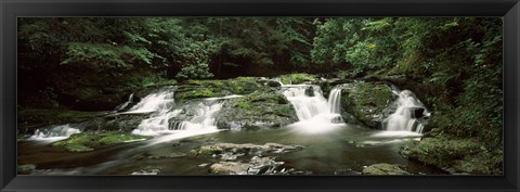 Framed Dingmans Creek flowing through a forest, Dingmans Falls Area, Delaware Water Gap National Recreation Area, Pennsylvania, USA Print