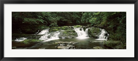 Framed Dingmans Creek flowing through a forest, Dingmans Falls Area, Delaware Water Gap National Recreation Area, Pennsylvania, USA Print