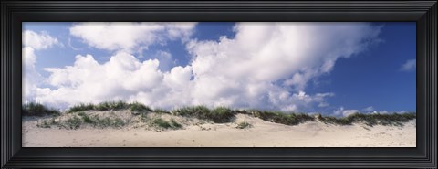 Framed Sand dunes, Cape Hatteras National Seashore, Outer Banks, North Carolina, USA Print