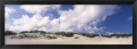 Framed Sand dunes, Cape Hatteras National Seashore, Outer Banks, North Carolina, USA Print