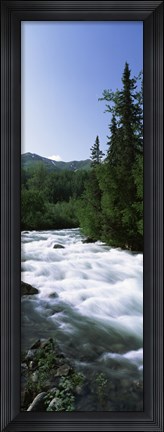 Framed River flowing through a forest, Little Susitna River, Hatcher Pass, Talkeetna Mountains, Alaska, USA Print